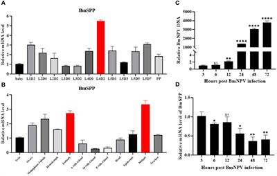 BmSPP is a virus resistance gene in Bombyx mori